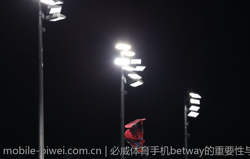 必威体育手机betway的重要性与行业地位
